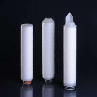 0.2um ptfe pleated membrane filter cartridge / air filter